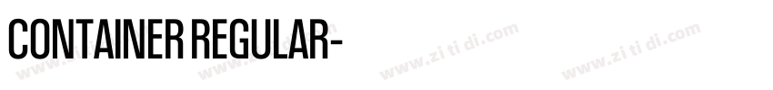 CONTAINER REGULAR字体转换